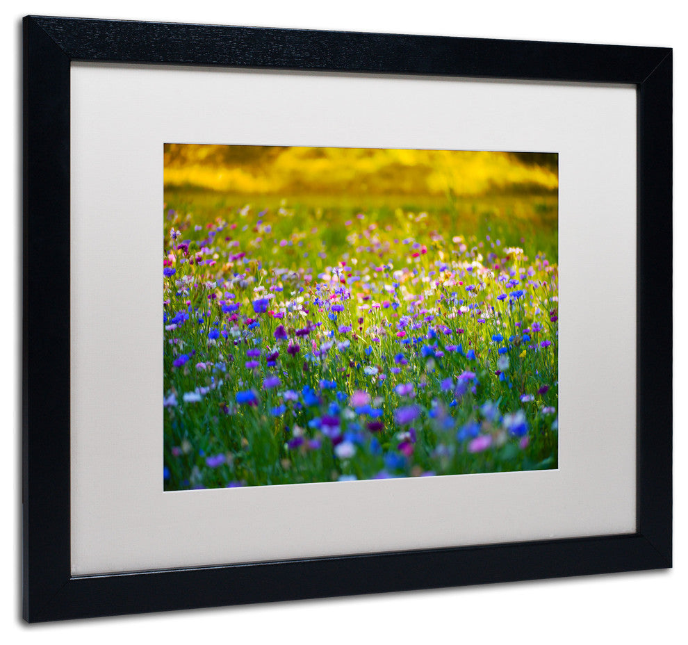 'Candy Fields' Matted Framed Canvas Art by Philippe Sainte-Laudy