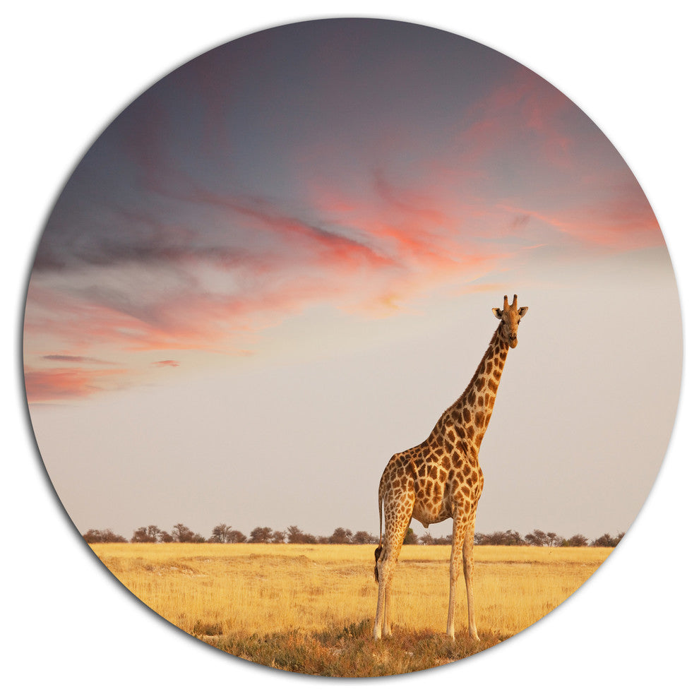 Single Giraffe In Savannah, African Round Wall Art, 23"