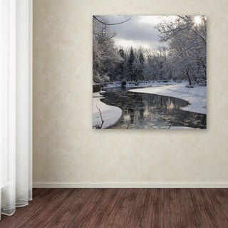 'Fresh Snowfall on the River' Canvas Art by Kurt Shaffer