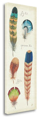 "Ornithology IV Panel" By Daphne Brissonnet, Giclee Print on Gallery Wrap Canvas