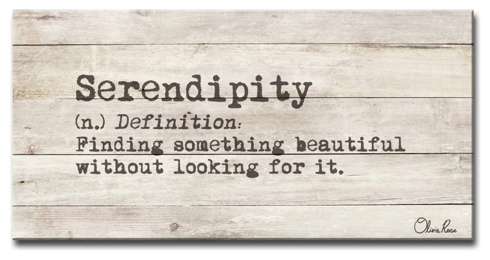 Ready2HangArt 'Define Serendipity' Inspirational Canvas Art, 18"x36"