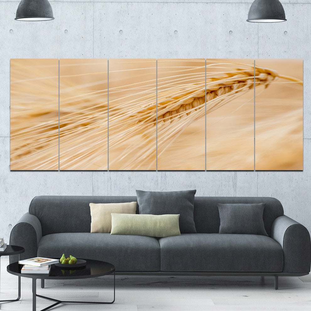 Cereal Plants Barley, Floral Canvas Art Print, 70"x28", 6 Panels