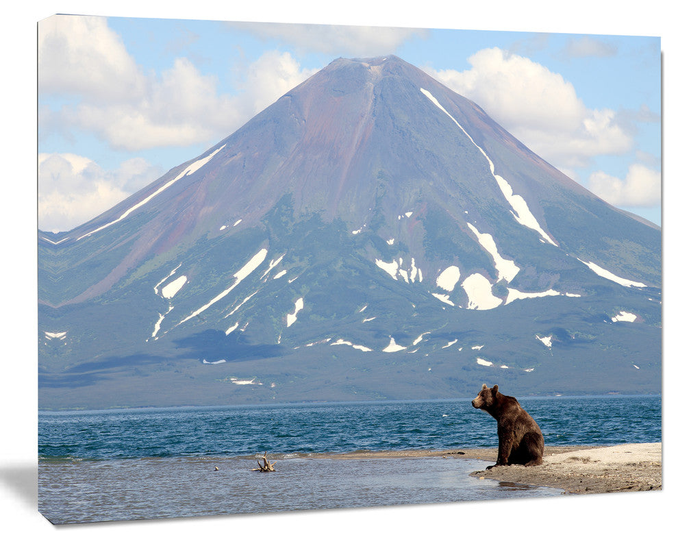 Large Bear in Front of Volcano, Landscape Canvas Wall Art, 40"x30"