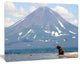 Large Bear in Front of Volcano, Landscape Canvas Wall Art, 40"x30"