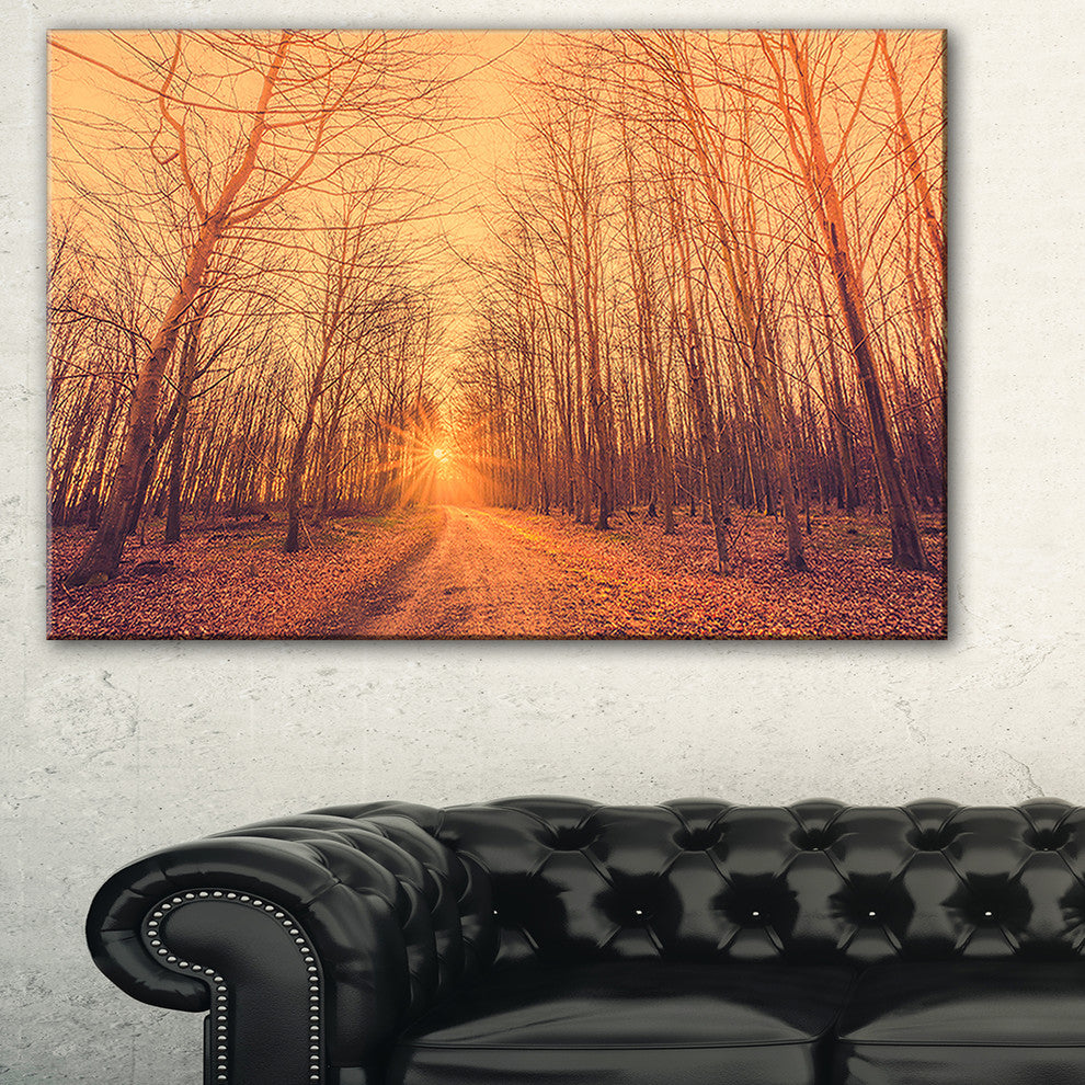 "Forest Road into Sunrise" Landscape Photography Canvas Print, 40"x20"