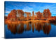 "Back From The Edge" Wrapped Canvas Art Print, 24"x16"x1.5"