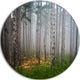 Dense Misty Forest, Landscape Photography Large Disc Metal Artwork, 23"