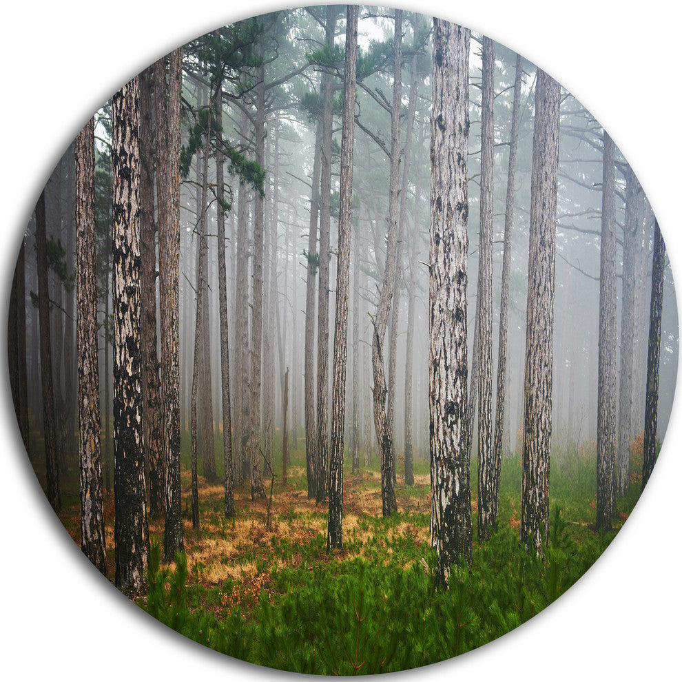 Dense Misty Forest, Landscape Photography Large Disc Metal Artwork, 23"