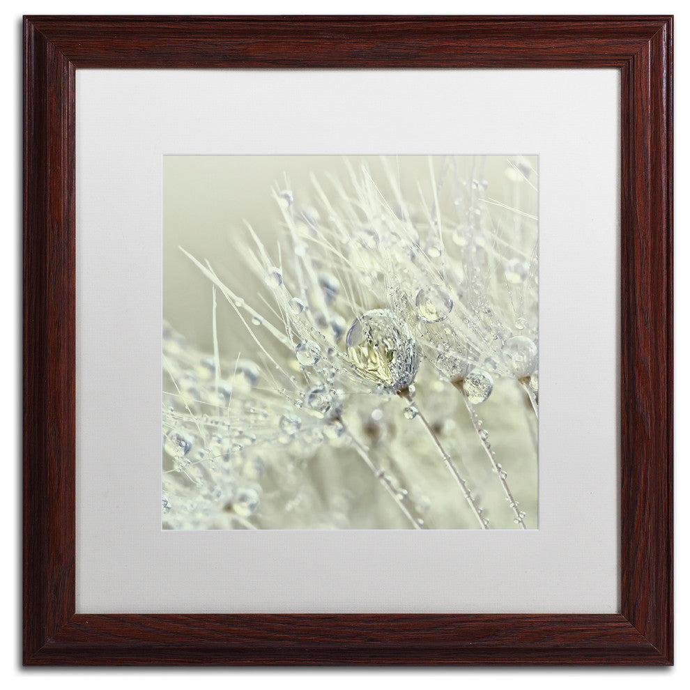 Cora Niele 'Dandelion Dew III' Matted Framed Art