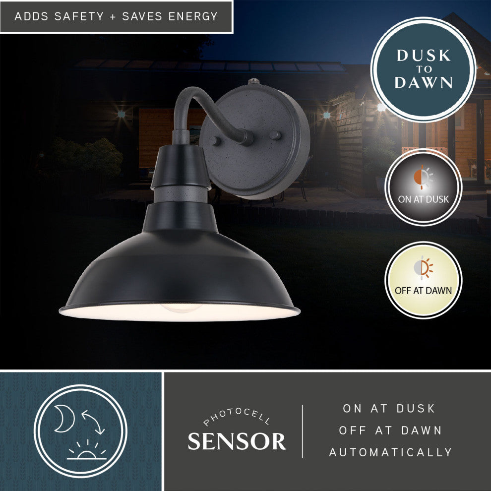 Buena Park 1-Light Dusk to Dawn Black Dome Barn Wall Lantern