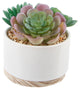 Succulent Mix In Wh Ceramic Wood Base