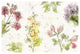 "Floral Splash I" Digital Paper Print by Katie Pertiet, 20"x14"