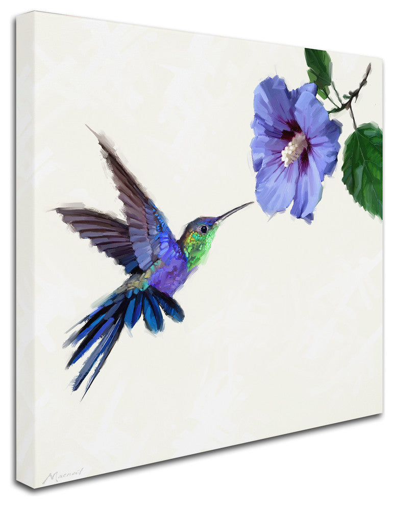 The Macneil Studio 'Humming Bird' Canvas Art, 14"x14"