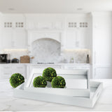 2-Piece Malibu Mirrored Tray Set