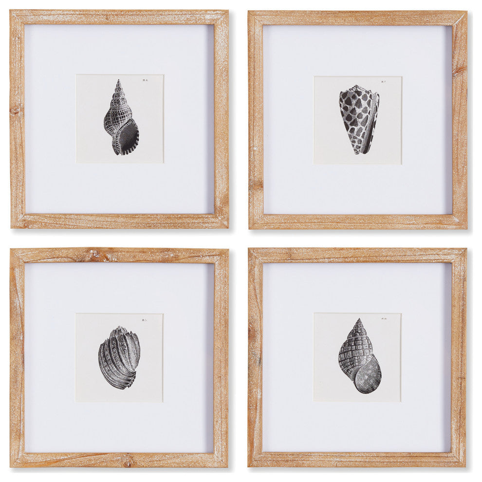 Seashell Petite Prints, Set of 4