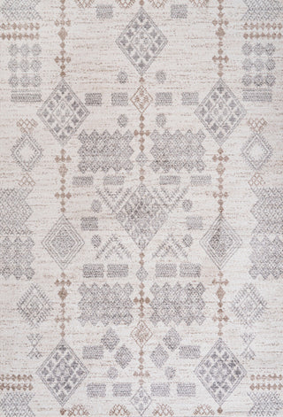 Bhalil Berber Diamond Geometric Beige/Gray 5 ft. x 8 ft. Area Rug
