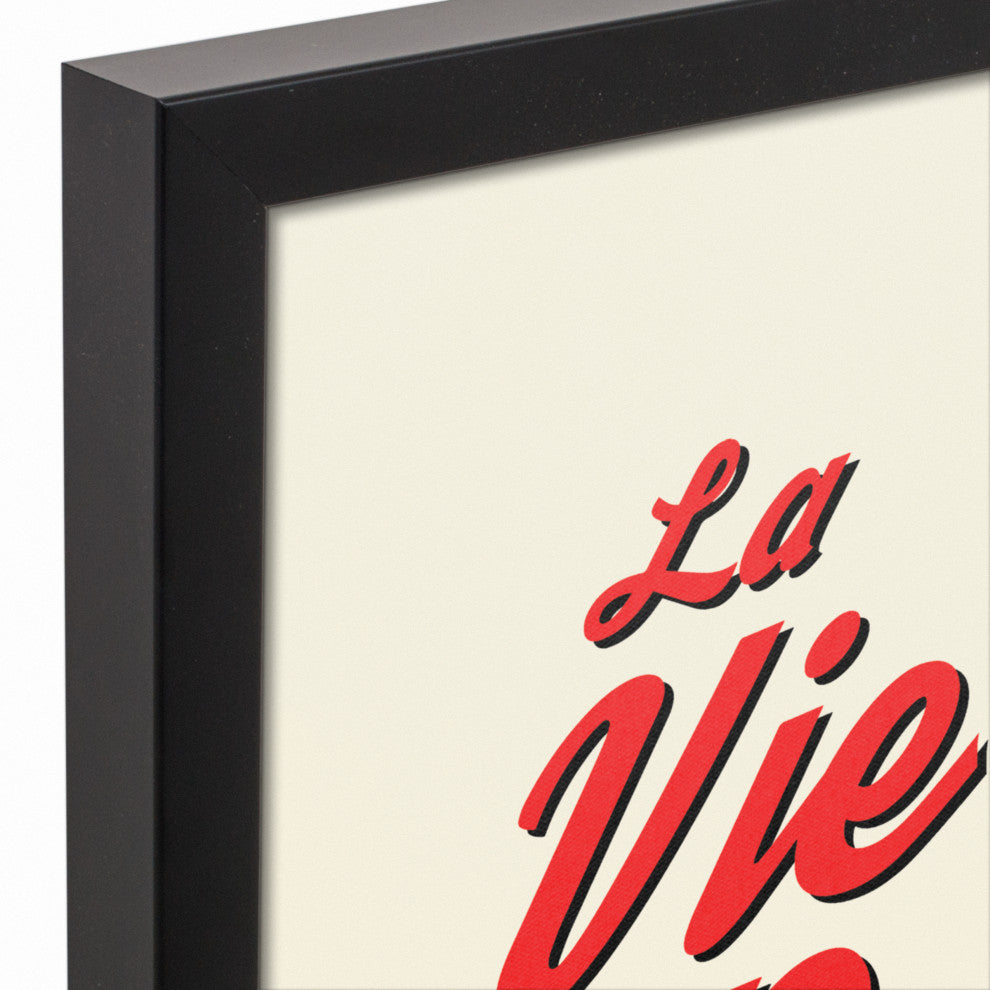 La Vie En Rose 11x14 Black Framed Canvas