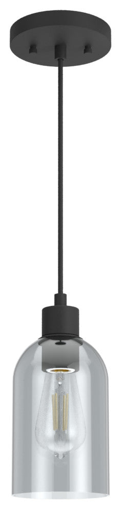 Hunter Lochemeade Natural Iron 1-Light Pendant Ceiling Light Fixture