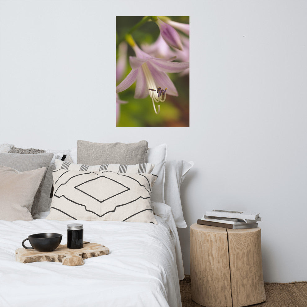 Close-up Hosta Bloom Nature Photography, Floral Unframed Wall Art Print, 24" X 36"