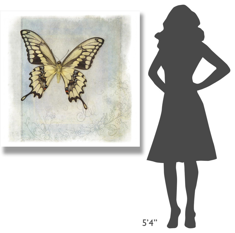 "Floating Butterfly V" Digital Paper Print by Debra Van Swearingen, 42"x42"