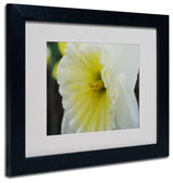 'Vitality' Matted Framed Canvas Art by Monica Fleet