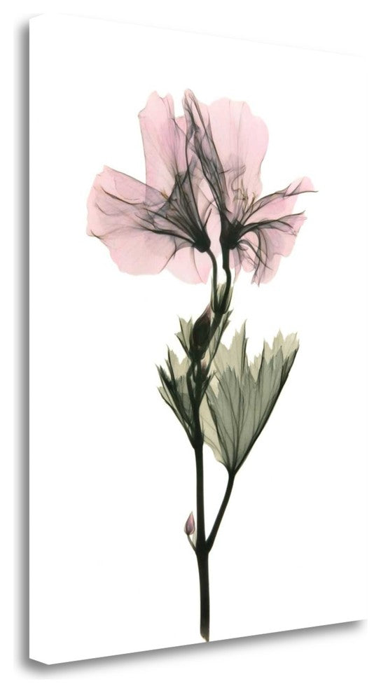 "Geranium" By Acee, Fine Art Giclee Print on Gallery Wrap Canvas, Ready to Hang