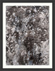 Gray Gardens 1, Giclee Reproduction Artwork