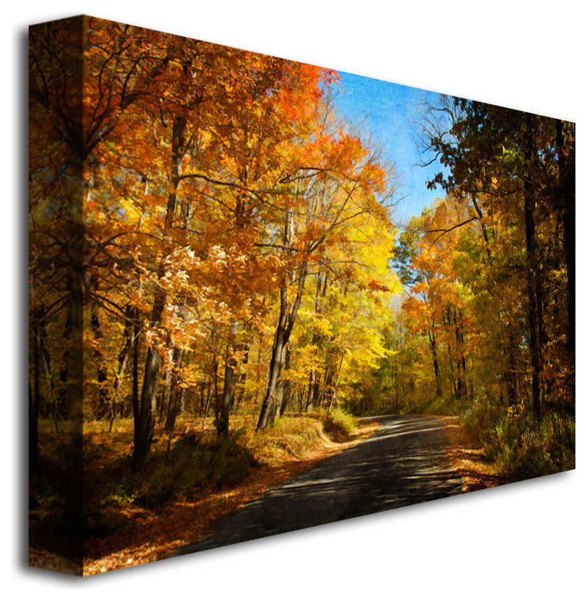 'Fall Walkway' Canvas Art by Lois Bryan