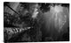 "Dreaming Before The Thunder" Stretched Canvas Giclee by Mikael Jigmo, 36x23"