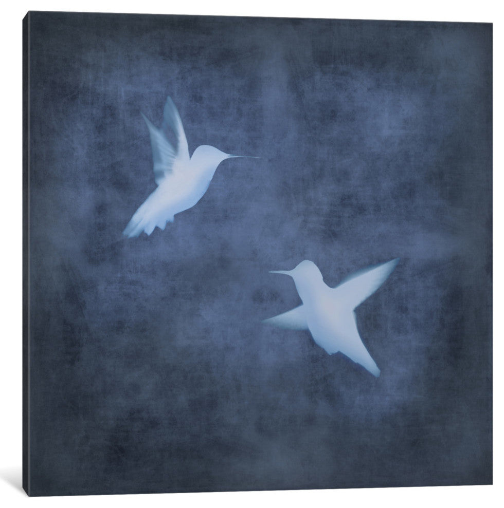 "Flight In Blue II" by Chris Donovan, Canvas Print, 18"x18"