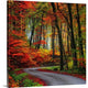 "Colorful Way" Wrapped Canvas Art Print, 24"x24"x1.5"