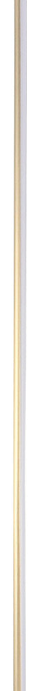 Iris 59.5" LED Integrated Floor Lamp, Gold