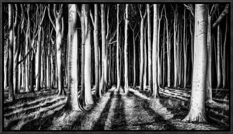 "Ghost Forest" Framed Canvas Giclee by Pixxelpark, 23x13"