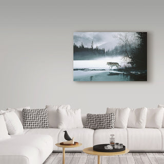 Ron Parker 'Spring Mist Gray Wolf' Canvas Art, 32"x22"