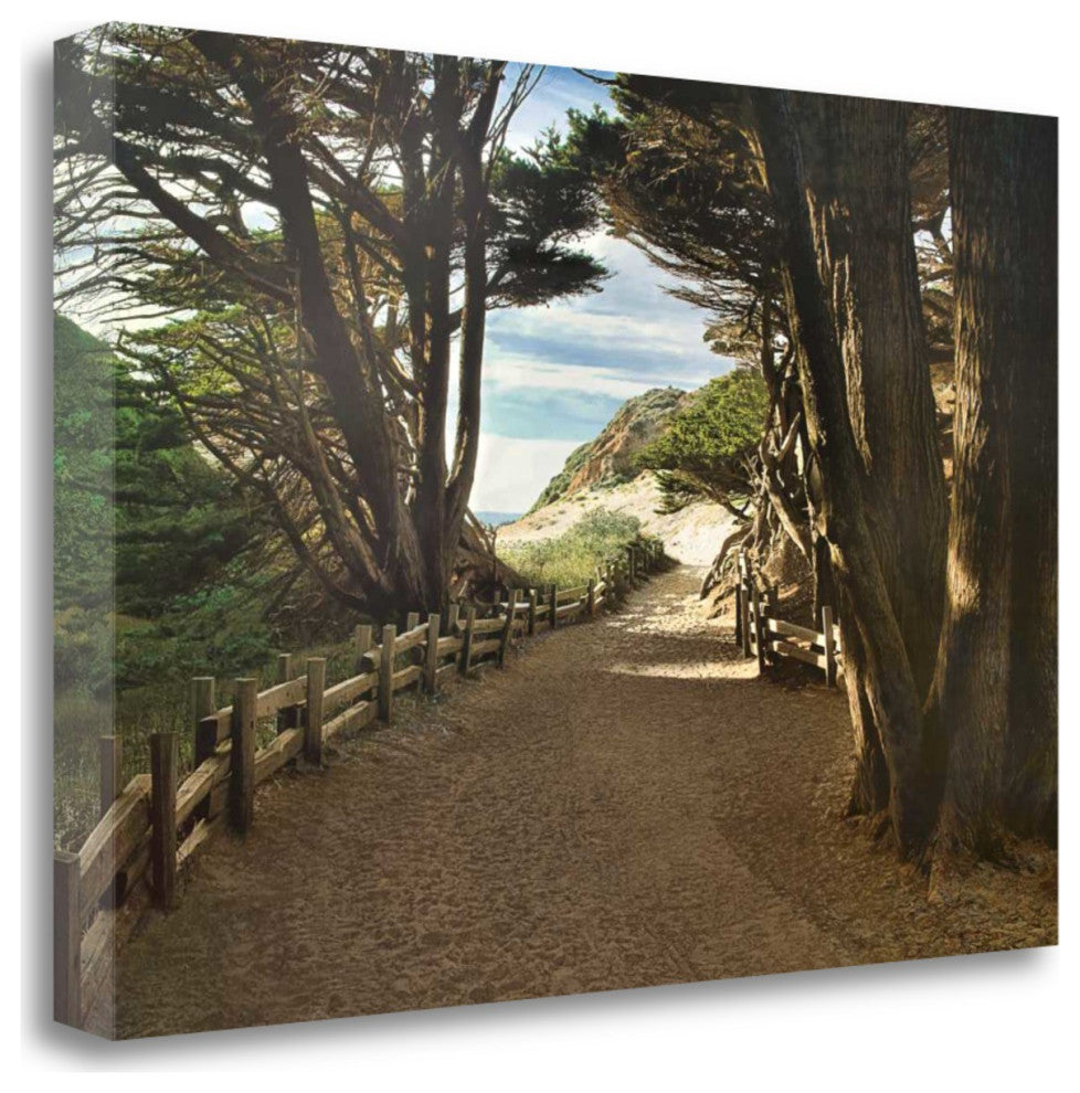 39" Forest Walk by the Beach Print on Gallery Wrap Canvas Wall Art