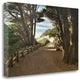 39" Forest Walk by the Beach Print on Gallery Wrap Canvas Wall Art