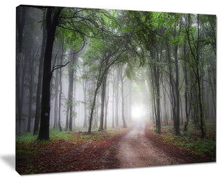 "Light Through Green Fall Forest" Canvas Print, 20"x12"