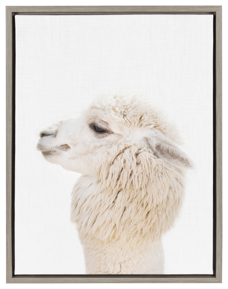 Sylvie Studio Alpaca Animal Print Framed Canvas Art by Amy Peterson, 18x24