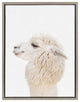 Sylvie Studio Alpaca Animal Print Framed Canvas Art by Amy Peterson, 18x24