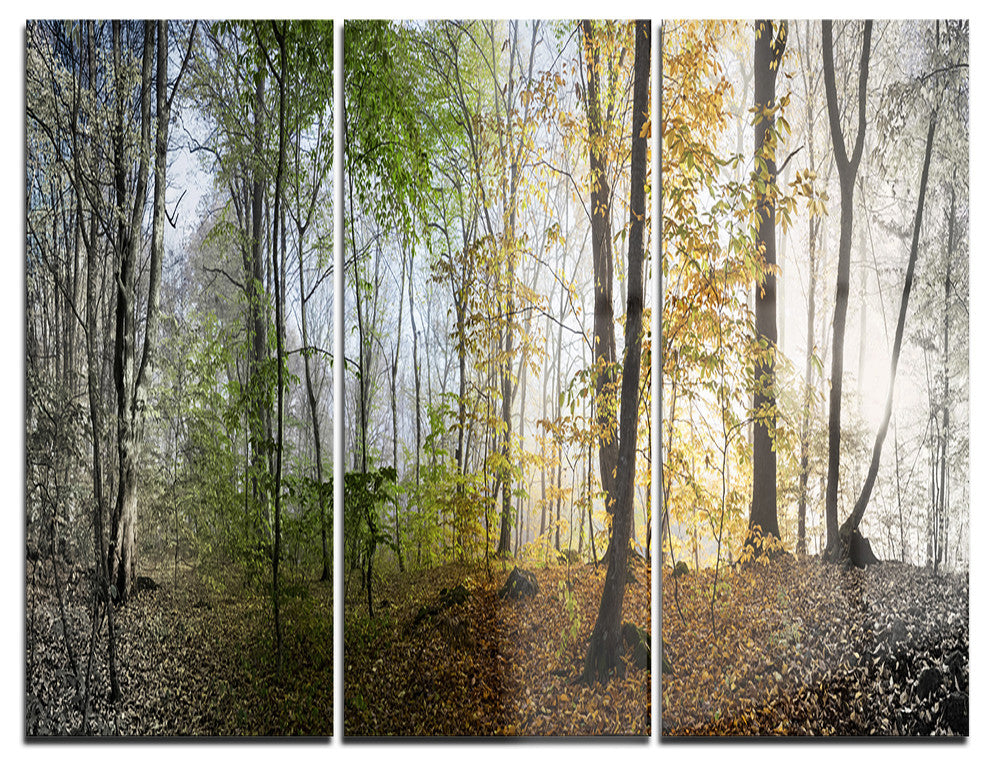 "Morning Forest Panoramic View" Photo Metal Wall Art, 3 Panels, 36"x28"