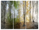 "Morning Forest Panoramic View" Photo Metal Wall Art, 3 Panels, 36"x28"