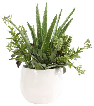 White-background shot displaying the full product from a front-facing, full-view perspective.