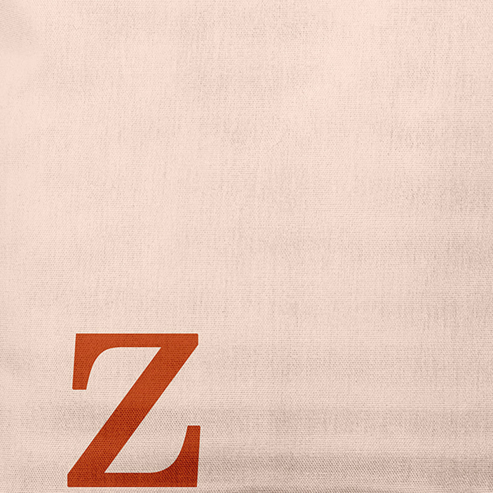 20" x 20" Modern Monogram Indoor/Outdoor Polyester Throw Pillow, Sienna