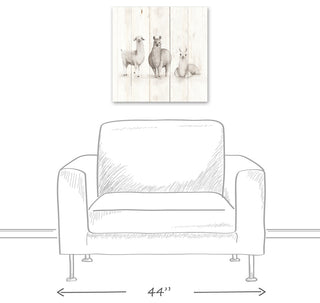 All The Llamas 20x20 Canvas Wall Art