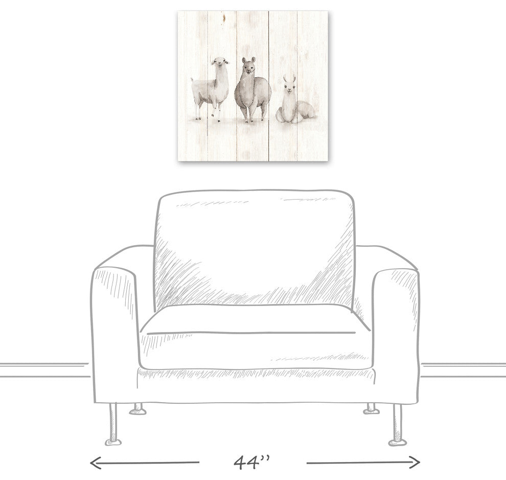 All The Llamas 20x20 Canvas Wall Art