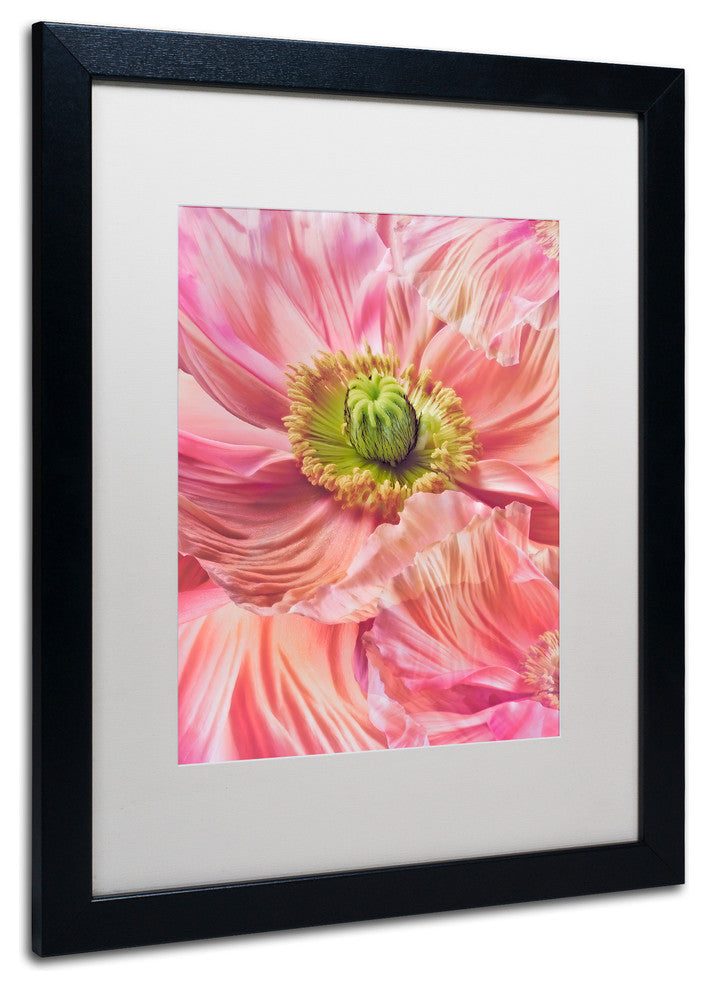 Cora Niele ''Cerise Pink Poppy'' Matted Framed Art