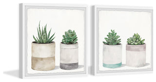 Fleshy Succulent Leaves Diptych, 2-Piece Set, 18x18 Panels