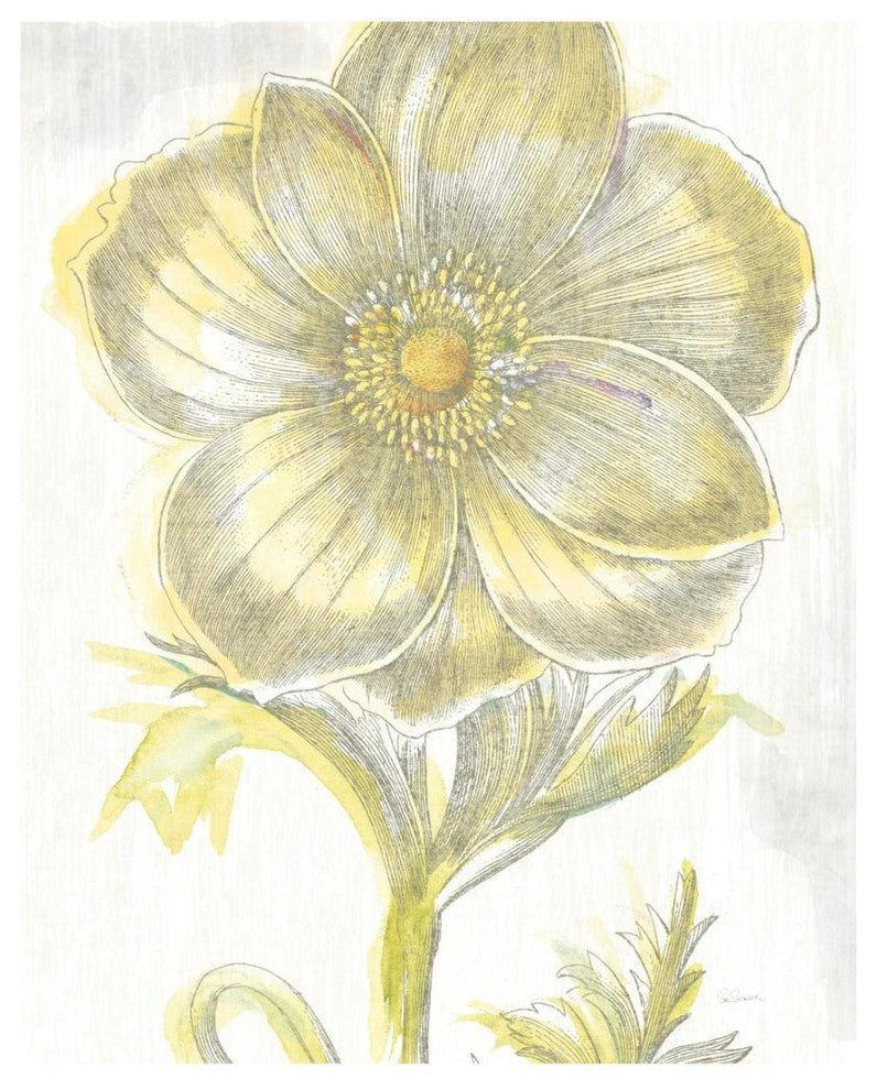 "Belle Fleur Yellow II" Digital Paper Print by Sue Schlabach, 18"x22"