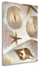 "Nautical Illuminations No.1" By Alan Blaustein, Giclee on Gallery Wrap Canvas