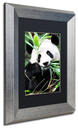 Philippe Hugonnard 'Giant Panda I' Art, Silver Frame, Black Matte, 14"x11"